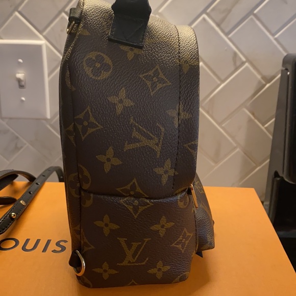 Louis Vuitton Palm Springs Mini (old zipper) - Picture 5 of 13